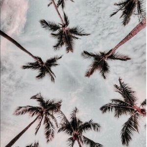 Meet your Posher, Lindsay